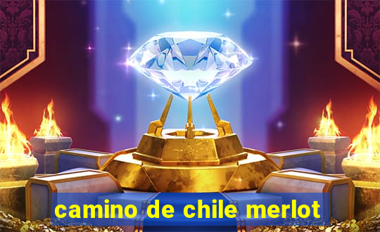 camino de chile merlot
